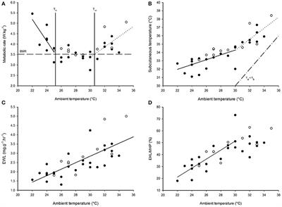 Searching for the Haplorrhine Heterotherm: Field and Laboratory Data of Free-Ranging Tarsiers